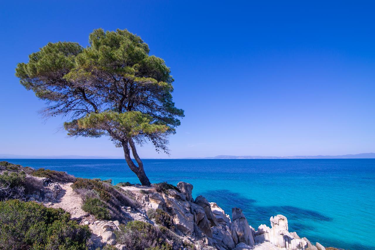 House Katerina Mediterranean Sarti Exteriér fotografie